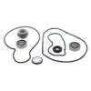 Winderosa Water Pump Rebuild Kit
