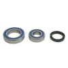 All Balls Chain Case Bearing & Seal Kit