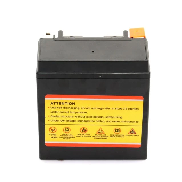 Wolftech AGM Maintenance Free Battery 1 Wolftech AGM Maintenance Free Battery
